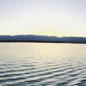 Meet your Posher, George